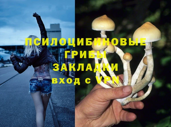 винт Арсеньев