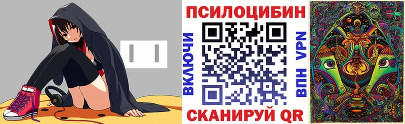 Галлюциногенные грибы GOLDEN TEACHER  даркнет сайт  Камбарка 